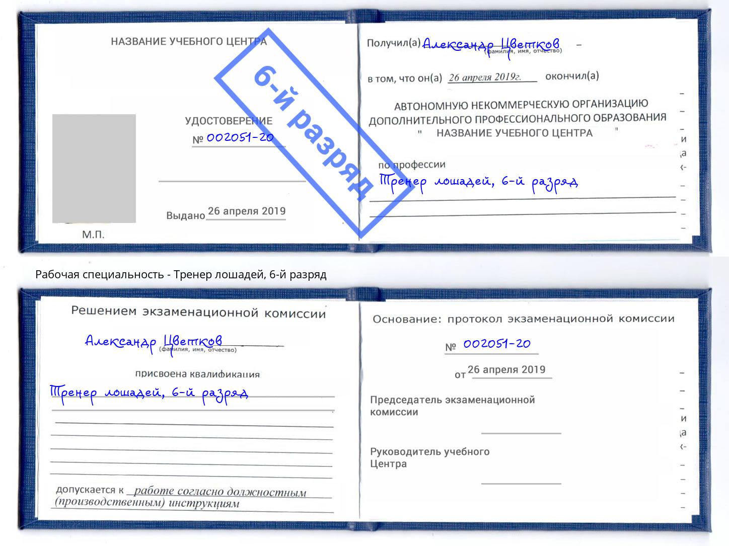 корочка 6-й разряд Тренер лошадей Слободской