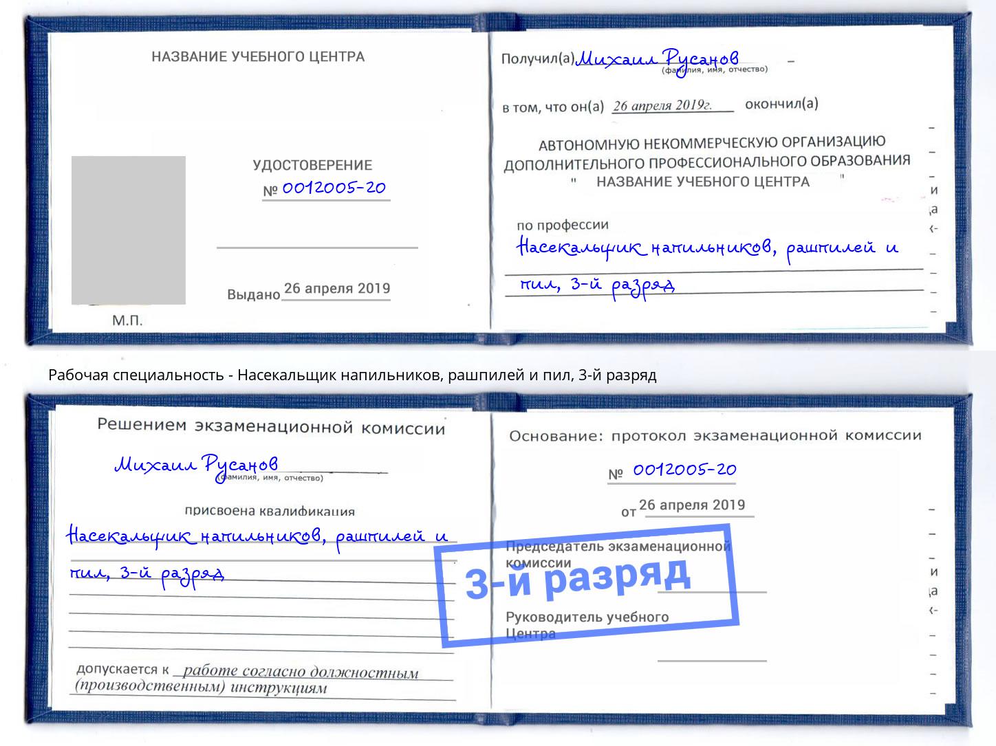 корочка 3-й разряд Насекальщик напильников, рашпилей и пил Слободской